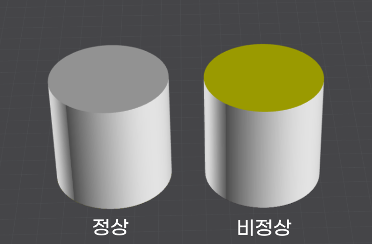 면이 닫힌 정상 모델과 열린 비정상 모델 비교